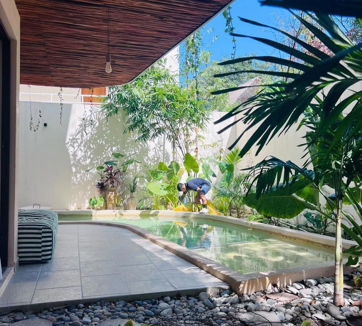 Апартаменты Charming Boutique Condo Jungle Views Private Pool Тулум Мексика